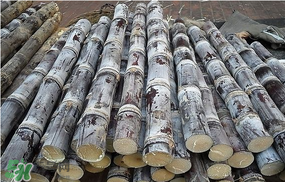 甘蔗發(fā)霉能吃嗎？吃了發(fā)霉的甘蔗怎么辦？