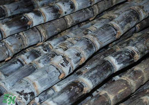 為什么吃甘蔗肚子疼？吃甘蔗為什么會(huì)肚子疼？