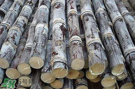 甘蔗里面發(fā)黑能吃嗎？甘蔗里面發(fā)黑是什么原因？