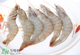 青蝦多少錢一斤？活青蝦多少錢一斤？