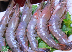 青蝦多少錢一斤？活青蝦多少錢一斤？