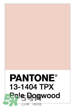 煙熏玫瑰色口紅哪個(gè)牌子好？煙熏玫瑰色口紅推薦