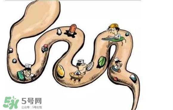 便秘吃什么藥好？便秘吃什么藥最快排便？