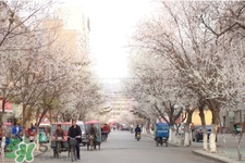 倒春寒是一種什么冷？倒春寒為什么會冷？