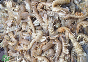 活的皮皮蝦怎么保存？活的皮皮蝦怎么保鮮？