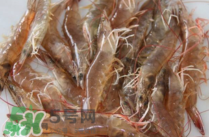 活基圍蝦怎么保存？活基圍蝦怎么處理干凈？