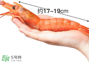 活蝦灌膠水是真的嗎？活蝦灌膠水人吃了會(huì)有什么害處？