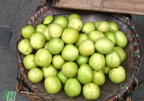 寶寶可以吃青棗嗎？寶寶可以多吃青棗嗎？