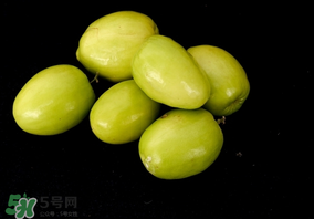 吃青棗可以減肥嗎？減肥可以吃青棗嗎？