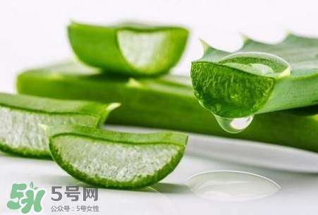 蘆薈可以直接涂臉上嗎?蘆薈能直接涂臉上嗎? 蘆薈可以直接涂臉上嗎?蘆薈能直接涂臉上嗎?