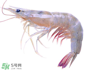 蝦變綠了能吃嗎？凍蝦變綠了能吃嗎？