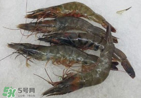 青蝦變黑了還能吃嗎？青蝦為什么變黑？