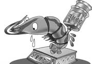活蝦灌膠水是真的嗎？活蝦灌膠水人吃了會有什么害處？