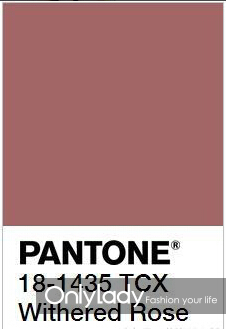 干玫瑰色適合什么膚色？干玫瑰色口紅適合黃皮嗎？