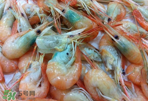 蝦變綠了能吃嗎？凍蝦變綠了能吃嗎？