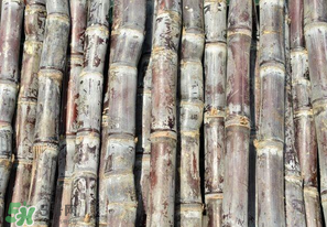 甘蔗有點(diǎn)酸味還能吃嗎？甘蔗吃起來(lái)為什有酸味？