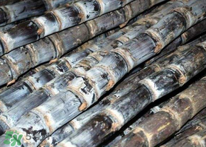 甘蔗有點(diǎn)酸味還能吃嗎？甘蔗吃起來(lái)為什有酸味？