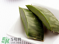 蘆薈變黃了還能用嗎 蘆薈變黃了怎么辦 蘆薈變黃了還能用嗎 蘆薈變黃了怎么辦