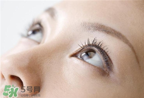 脂肪?？梢杂冕樚舻魡幔恐玖？梢宰约禾魡幔?></p><h3</div>
         			<p class=