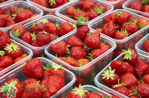 草莓爛了點(diǎn)皮可以吃嗎？草莓表皮發(fā)白是爛了嗎？