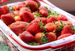 草莓爛了點(diǎn)皮可以吃嗎？草莓表皮發(fā)白是爛了嗎？