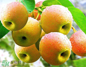 南國梨為什么有酒味？南果梨有酒味能吃嗎？