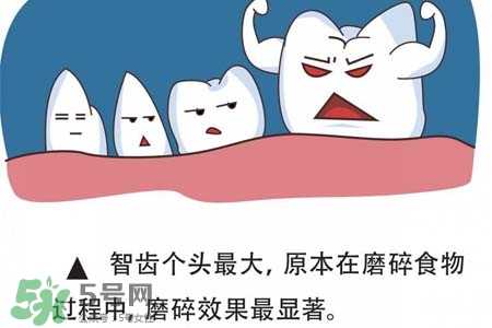 智齒經(jīng)常發(fā)炎怎么辦？智齒反復(fù)發(fā)炎腫痛怎么辦？