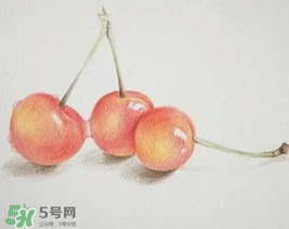 櫻桃有點苦怎么回事？櫻桃有點苦可以吃嗎？