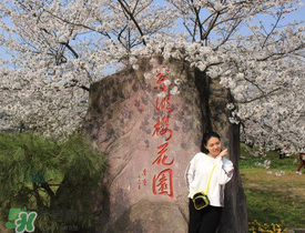 2017年武大櫻花怎么預(yù)約？2017年武大櫻花預(yù)約網(wǎng)址