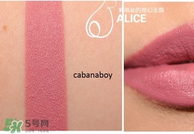 tarte海洋森林唇膏色號試色 tarte唇膏試色圖 tarte海洋森林唇膏色號試色 tarte唇膏試色圖