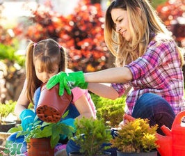 3月份適合種什么花？3月份種什么花？