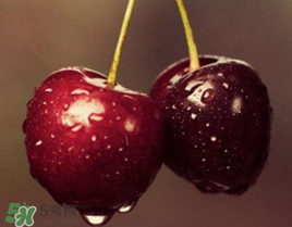 櫻桃為什么有一股藥味？櫻桃有藥味怎么辦？