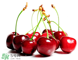 櫻桃一天吃多少合適？櫻桃一天最多吃多少？