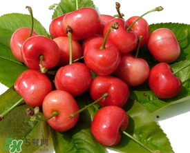 櫻桃用鹽水泡多久？櫻桃為什么要用鹽水泡？