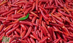 來月經(jīng)可以騎自行車嗎？來月經(jīng)可以騎車嗎？