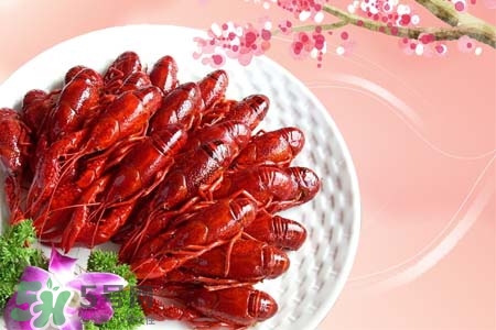 哺乳期可以吃龍蝦嗎？哺乳期能吃小龍蝦嗎？