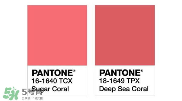 珊瑚紅口紅是什么顏色？珊瑚紅口紅試色