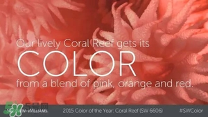 珊瑚紅口紅是什么顏色？珊瑚紅口紅試色