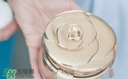 dicila蒂思嵐玫瑰蜜粉散粉怎么樣？dicila玫瑰蜜粉散粉好用嗎？