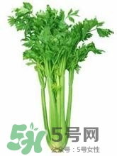 負卡路里的食物有哪些？負卡路里食物真的吃不胖嗎？