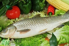 草魚(yú)能生吃嗎？草魚(yú)可以直接生吃嗎？