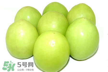 貴妃棗一般多少一斤？2017貴妃棗多少一斤？