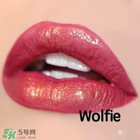 啞光和水潤(rùn)哪個(gè)好？啞光口紅和水潤(rùn)口紅區(qū)別