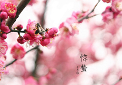 驚蟄如何養(yǎng)生？驚蟄前后如何養(yǎng)生？