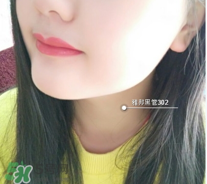 雅邦黑管口紅色號試色 雅邦黑管口紅試色圖 雅邦黑管口紅色號試色 雅邦黑管口紅試色圖