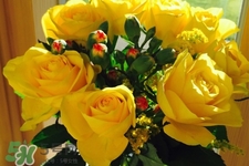 4月份適合種什么花？四月份種什么花好？