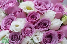 4月份適合種什么花？四月份種什么花好？