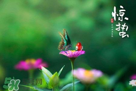 驚蟄節(jié)氣要注意什么？驚蟄節(jié)氣養(yǎng)生注意事項(xiàng)