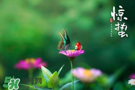 驚蟄如何養(yǎng)生？驚蟄前后如何養(yǎng)生？