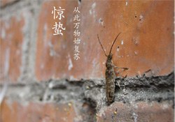 驚蟄可以去掃墓嗎？驚蟄可以去上墳嗎？